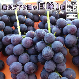 �y�ӂ邳�Ɣ[�Łz�y ���V�u�h�E�� �z ���� �� ���� ��2kg 2026�N�Y ��s�\�� �Ԃǂ� ����