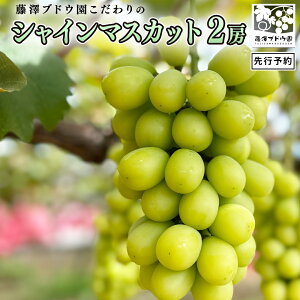 �y�ӂ邳�Ɣ[�Łz�y ���V�u�h�E�� �z ������� �� �V���C���}�X�J�b�g ( �I�ׂ� ���e�� ) 2026�N�Y ��s�\�� 1�[ 2�[ �Ԃǂ� �u�h�E ���� �t���[�c