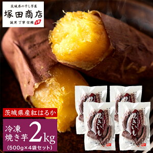 yӂ邳Ɣ[Łz y ˓cX z 󂠂 錧Y g͂邩 Ă ( Ⓚ ) STCY 2kg ( 500g × 4 ) ܂ Tc}C   C }cR̒mȂE X[p[cJ_ KiO s