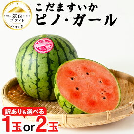 【ふるさと納税】こだますいか 「 ピノ・ガール 」 選べる 1玉 2玉 2026年産 先行予約 訳あり 筑西ブランド こだまスイカ 小玉スイカ すいか スイカ フルーツ 果物