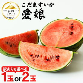 【ふるさと納税】 こだますいか 「 愛娘 」 選べる 1玉 2玉 2026年産 先行予約 訳あり 筑西ブランド こだまスイカ 小玉スイカ すいか スイカ フルーツ 果物