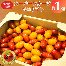 【ふるさと納税】【 先行予約 】 スーパーフルーツ ミニトマト 約1kg 野菜 フルーツトマト フルーツ トマト とまと