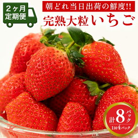 【ふるさと納税】【 2ヶ月 定期便 】完熟 いちご ( 選べる内容量 ) 2パック 4パック 先行予約 大粒 イチゴ 苺 フルーツ 果物