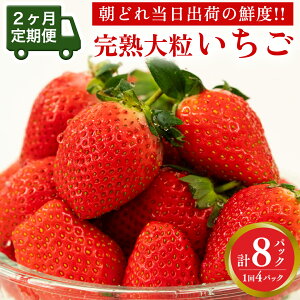 yӂ邳Ɣ[Łzy 2  zn  ( Iׂe ) 2pbN 4pbN s\ 嗱 C`S  t[c ʕ