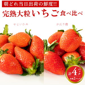 yӂ邳Ɣ[Łzn  E 悢Ђ Hה 4pbN s\ 嗱 C`S   t[c ʕ