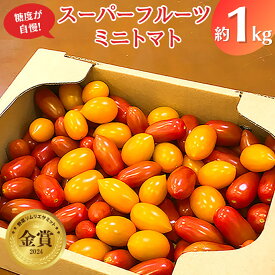 【ふるさと納税】 スーパーフルーツ ミニトマト 約1kg 2026年産 野菜 フルーツトマト フルーツ トマト とまと