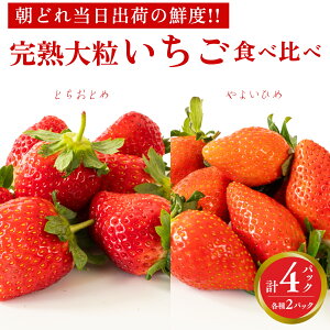 yӂ邳Ɣ[Łzn 悢Ђ E ƂƂ Hה ( Iׂ e ) 2pbN 4pbN s\ 嗱 C`S   t[c ʕ