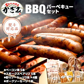 【ふるさと納税】〜 匠のハム工房 〜 燻製職人 ！ 風實 バーベキューセット ギフト 贈答用 詰め合わせ 冷凍 BBQ バーベキュー パーティー ベーコン ローズポーク スペアリブ ソーセージ ポークソーセージ 豚 かざみ
