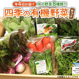 【ふるさと納税】【 定期便 年4回お届け！】四季の 有機野菜 色とりどりセット 野菜 野菜セット 詰め合わせ 有機 無農薬 JAS認定 無化学肥料 おまかせ 野菜スティック レインボーフューチャー