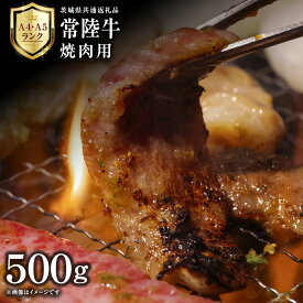 【ふるさと納税】【 常陸牛 】 焼肉用 500g 茨城県共通返礼品 化粧箱入り A4 A5 ブランド牛 国産 牛肉 肉 お肉 黒毛和牛 和牛 ギフト 贈答