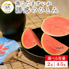 【ふるさと納税】【 JA北つくば 】 黒こだますいか 「 誘惑のひとみ 」 ( 選べる 内容量 2玉 or 4-5玉 ) 2026年産 スイカ 果物 フルーツ 小玉スイカ 小玉 西瓜 くだもの デザート 茨城