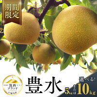 【ふるさと納税】【 JA 北つくば 】 筑西ブランド 認証品 豊水 ( 選...