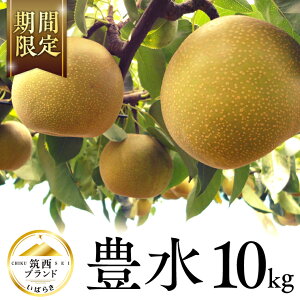 �y�ӂ邳�Ɣ[�Łz�y JA �k���� �z �}���u�����h �F�ؕi �L�� ( �I�ׂ� 5kg 10kg ) 2026�N�Y ��s�\�� �� �ʕ� �t���[�c �Ȃ� �i�V �L���� �������� �f�U�[�g ���