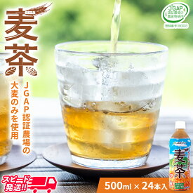 【ふるさと納税】スピード発送!!【 JA 北つくば 】 JGAP認証 麦茶 1箱 ( 500ml × 24本 ) JGAP JA お茶 茶 ペットボトル 麦 大麦 二条大麦 ノンカフェイン カフェインゼロ スピード配送