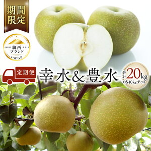 yӂ邳Ɣ[Łz 2 i K  L j  Zbg ( Iׂ e ) 2026NY s\ Ȃ iV ԗ Hה Hׂ