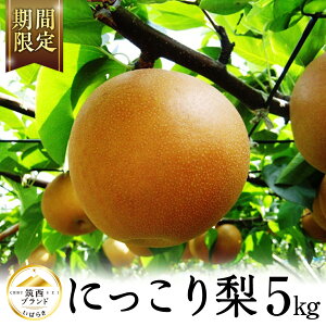 yӂ邳Ɣ[Łzy JA k z }uh Fؕi ɂ 5kg 2025NY s\  ʕ t[c Ȃ iV a [AE030ci]
