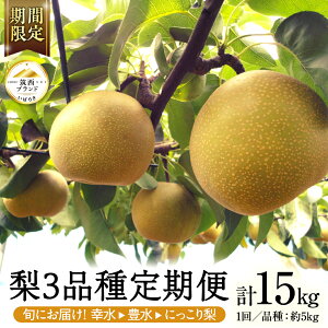 yӂ邳Ɣ[Łzy JA k z }uh Fؕi  3  Zbg 2026NY s\ 15kg ( K L ɂ ) ʕ t[c Ȃ iV a [AE031ci]