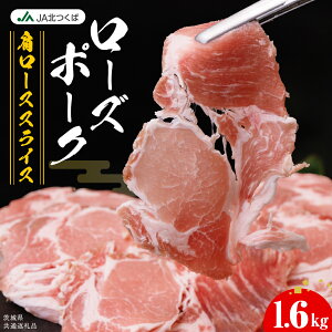 yӂ邳Ɣ[Łzy JAk z [Y|[N [X XCX 1.6kg ( 800g × 2 ) uh  ؓ    ɂ [X ē o[xL[ Mtg  蕨 錧ʕԗ