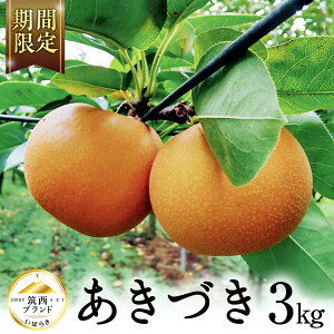 yӂ邳Ɣ[Łzy JA k z }uh Fؕi Â (  ) 3kg 2025NY s\  ʕ t[c Ȃ iV a H H Â  fU[g 