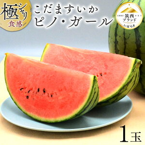 yӂ邳Ɣ[Łzy JAk z ɃVH I ܂ u smEK[ v 1 2026NY ʂ   XCJ ʕ t[c smK[ Z  fU[g 