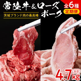 【ふるさと納税】【 茨城ブランド肉の最高峰 】ローズポーク ＆ 常陸牛 贅沢 定期便 ( 全6種 ) ブランド豚 銘柄豚 豚肉 お肉 にく ロース 生姜焼き しゃぶしゃぶ 焼肉 バーベキュー とんかつ ポークソテー 牛肉 和牛 ギフト 贈答 贈り物 国産 茨城県産 茨城県共通返礼品