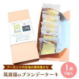 【ふるさと納税】筑波嶺 の ブランデー ケーキ 1箱(6個入) ブランデーケーキ お菓子 おかし 菓子 銘菓 焼き菓子