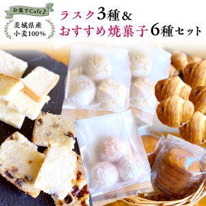 yӂ邳Ɣ[ŁzCafe 錧Y  100I XN 3   ĉَq 6 Zbg lߍ킹 Mtg  Y