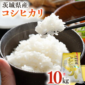yӂ邳Ɣ[Łz錧Y RVqJ ( Iׂ e ) 5kg 10kg ߘa7NY   R  Ђ 錧 V 