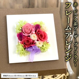 yӂ邳Ɣ[Łz t[ vU[uht[  Mtg 蕨 v[g 