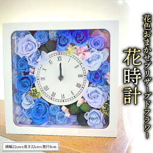 yӂ邳Ɣ[ŁzvU[uh t[ Ԏv Mtg v[g  j  LO CeA Ǌ|