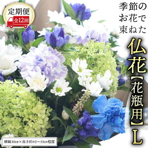 yӂ邳Ɣ[Łz G߂̂Ԃő˂ ԕrp yIׂTCYƉ񐔁zS M L Pi  6 12     