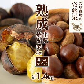 【ふるさと納税】【 吉原農場 の 完熟栗 】 熟成 生栗 ( 選べる サイズ ) 1kg ・ 焼き栗 2袋 セット 令和7年産 完熟 栗 くり クリ 栗ごはん 贈答 ギフト 果物 フルーツ 数量限定 旬 秋 冬 正月 おせち