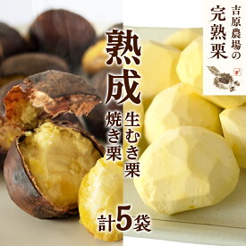 【ふるさと納税】【 吉原農場 の 完熟栗 】 熟成 生むき栗 3袋 ・ 焼き栗 2袋 セット 令和7年産 完熟 栗 くり クリ 栗ごはん 贈答 ギフト 果物 フルーツ 数量限定 旬 秋 冬 正月 おせち