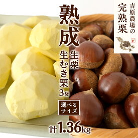 【ふるさと納税】【 吉原農場 の 完熟栗 】 熟成 生栗 ( 選べる サイズ ) 1kg ・ 生むき栗 3袋 セット 令和7年産 完熟 栗 くり クリ 栗ごはん 贈答 ギフト 果物 フルーツ 数量限定 旬 秋 冬 正月 おせち