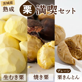 【ふるさと納税】【 吉原農場 の 完熟栗 】熟成 栗 満喫 セット ( 栗の深雫 プレーン 6個入り ) 令和7年産 栗の深雫 完熟 生むき栗 焼き栗 栗きんとん プレーン くり クリ 栗ごはん おかし お菓子 果物 フルーツ 数量限定 旬 秋 冬 正月 おせち [CX026ci]