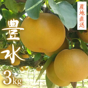 �y�ӂ邳�Ɣ[�Łz�y �Y�n���� �z �L�� 3kg ��s�\�� �� �t���[�c �ʕ� ���Y ���{�Y �� �i�V �Ȃ� �a��