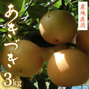 yӂ邳Ɣ[Łzy Yn z Â 3kg  t[c ʕ Y {Y  iV Ȃ a
