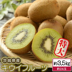 yӂ邳Ɣ[Łz 錧Y LEC t[c   3.5kg  { Â