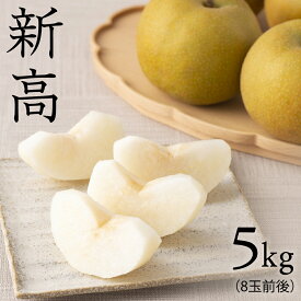 【ふるさと納税】 【 新高 】 梨 5kg なし ナシ 果物フルーツ 旬