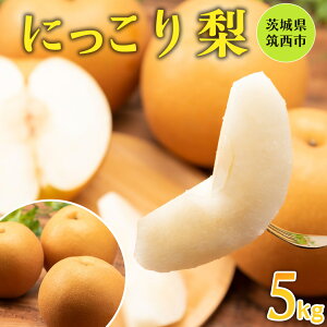 yӂ邳Ɣ[Łz y ɂ z  5kg Ȃ iV ʕt[c {