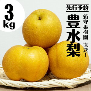 yӂ邳Ɣ[Łzy s\ zʎ I L 3kg Ȃ  ق L ʎ ʕ t[c