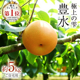 【ふるさと納税】【 ランキング 1位 獲得!! 】 極上の雫 『 豊水 』 5kg ( 自家用 ) 2026年産 先行予約 フルーツ 果物 国産 日本産 梨 ナシ なし 和梨