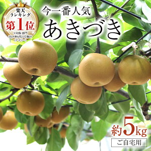 �y�ӂ邳�Ɣ[�Łz�y �����L���O 1�� �l��!! �z ����Ԑl�C �w �����Â� �x 5kg ( ���Ɨp ) 2026�N�Y ��s�\�� �t���[�c �ʕ� ���Y ���{�Y �� �i�V �Ȃ� �a��