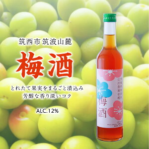 yӂ邳Ɣ[Łz~ AR[ 12 i 500ml × 1{ j ʎ   ~  E