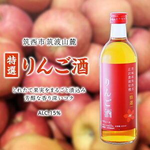yӂ邳Ɣ[Łzy I z 񂲎 AR[ 15 i 500ml × 1{ j ʎ   S  ь