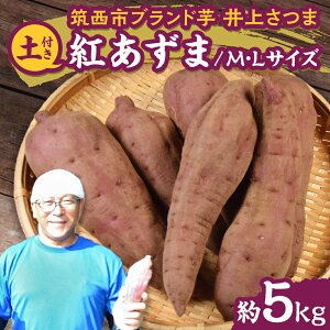 yӂ邳Ɣ[Łzy 悵̂ zコ u g v MELTCY 5kg (Iׂ yt / yȂ ) n ܂   Ă   ܂؂悵