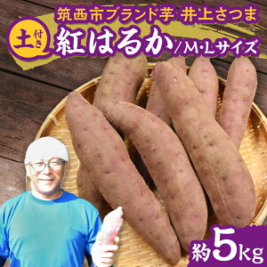 yӂ邳Ɣ[Łzy 悵̂ zコ u g͂邩 v MELTCY 5kg ( yt ) n ܂   Ă   ܂؂悵