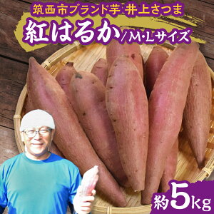 yӂ邳Ɣ[Łzy 悵̂ zコ u g͂邩 v MELTCY 5kg ( yt ) n ܂   Ă   ܂؂悵