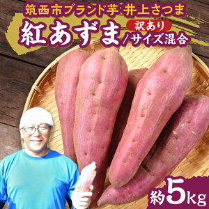 【ふるさと納税】【 よしのいも 】訳あり 井上さつま 「 紅あずま 」 サイズ混合 約5kg ( 選べる 土付き / 土なし ) 完熟 さつまいも いも おいも 焼き芋 芋 おやつ まごころ野菜よしの