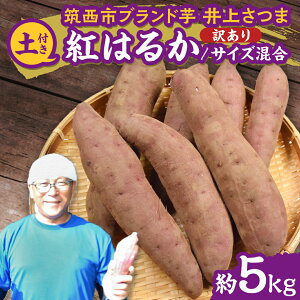 yӂ邳Ɣ[Łzy 悵̂ z󂠂 コ u g͂邩 v TCY 5kg ( Iׂ yt / yȂ ) n ܂   Ă   ܂؂悵